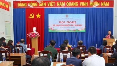 Τελωνειακή Περιφέρεια XVII: Οι στόχοι είσπραξης εσόδων επιτεύχθηκαν νωρίτερα από το χρονοδιάγραμμα χάρη σε συντονισμένες προσπάθειες.