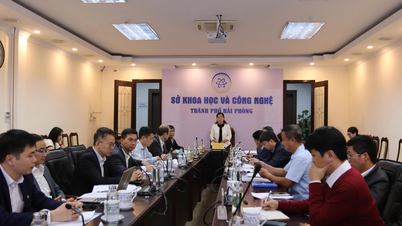 Memulihkan dan membangunkan industri pembinaan kapal di bandar Hai Phong.