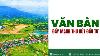 Władze dystryktu Van Ban intensyfikują działania mające na celu przyciągnięcie inwestycji.