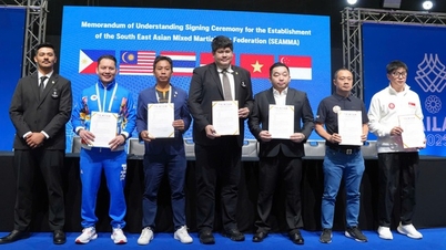 เวียดนามเป็นหนึ่งในสมาชิกผู้ก่อตั้งสมาคมศิลปะการต่อสู้แบบผสมผสานแห่งเอเชียตะวันออกเฉียงใต้ (Southeast Asian MMA Association)