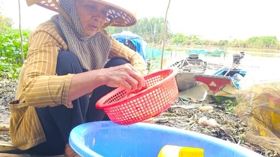 Funding that offers hope