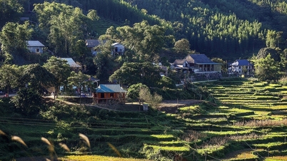 Valorificarea valorilor culturale ale poporului Muong pentru a deveni un punct de atracție al turismului în Phu Tho.