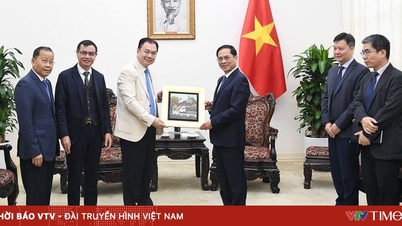 부총리 부이 탄 손이 퐁수프타비 그룹(라오스) 부회장을 접견하고 있다.