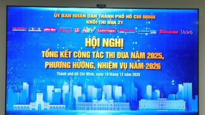 Identifisering og forebygging av krenkelse av immaterielle eiendeler – «nøkkelen» til å utvikle Vietnams kreative økonomi.