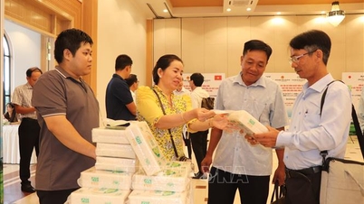 קידום השקעות ושיתוף פעולה טכנולוגי עם יפן בפיתוח אזורים לגידול אורז איכותי.