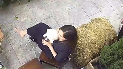 Посетители кафе в Ханое используют специальные чашки для кормления домашних животных.