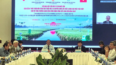 Colaborarea cu Japonia pentru dezvoltarea unor zone de cultivare a orezului de înaltă calitate și cu emisii reduse în Delta Mekongului.