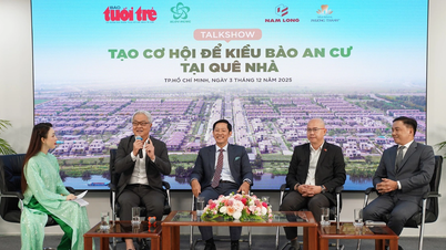 הזדמנויות חדשות עבור וייטנאמים מעבר לים להתיישב ולהשקיע בווייטנאם.