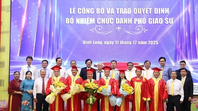 أضافت إحدى الجامعات في المنطقة الغربية 5 أساتذة مشاركين جدد.