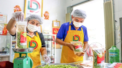 Groeifactoren voortkomend uit bedrijfsontwikkeling en transformatie van huishoudelijke bedrijven.