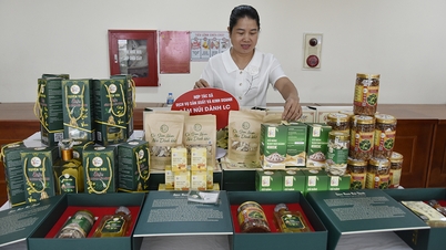 ខេត្ត Phuc Hoa អភិវឌ្ឍសកម្មភាពសេដ្ឋកិច្ចសមូហភាព រួមចំណែកដល់ការកាត់បន្ថយភាពក្រីក្រប្រកបដោយចីរភាព។