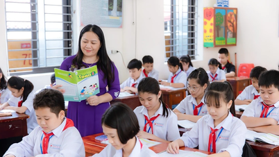Verwendung eines einheitlichen Lehrbuchsatzes: Lehrer haben Flexibilität, Schüler sind proaktiv.