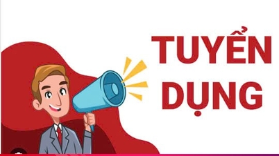 مكتب تسجيل الأراضي في مقاطعة ها تينه يوظف موظفين.