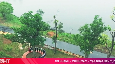 خصوصی قومی تاریخی مقام کمپلیکس میں قدیم درختوں کی کہانی۔