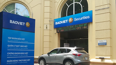 BVS: Lãi quý 3 tăng gấp đôi, thành viên độc lập HĐQT xin nghỉ ngay sau khi công ty mẹ nhận 35 tỷ đồng cổ tức