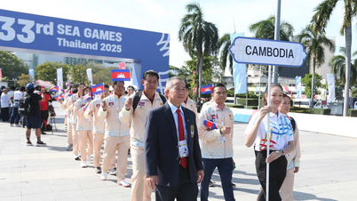 Kambodsja uttalte at det å trekke seg fra de 33. SEA-lekene var en «forhåndsplanlagt strategi».