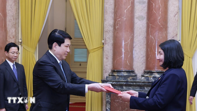 The President of Vietnam receives Ambassador of the Republic of Chile Nasly Isabel Bernal Prado as she presents her credentials.