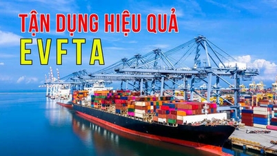 İşletmelerin serbest ticaret anlaşmalarından faydalanmasını destekleyecek ekosistemin tamamlanması: Beklenen lansman tarihi Haziran 2026.