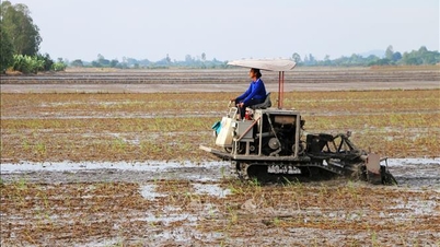 จังหวัดอานเจียงจัดสรรงบประมาณกว่า 38,000 ล้านดอง เพื่อสนับสนุนเกษตรกรในการผลิตข้าวคุณภาพสูง