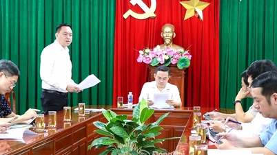 Revisión del progreso de dos proyectos turísticos en el área montañosa de Chua Chan y el bosque protector de Tan Phu.