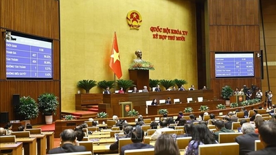 Høydepunkter fra den 10. sesjonen i den 15. nasjonalforsamlingen - Sluttartikkel: Omfattende institusjonalisering av ny utviklingstenkning