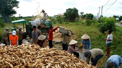 ہام تھانہ پہاڑی کمیون اور اس کا مقصد نئے دیہی معیارات کو حاصل کرنا۔