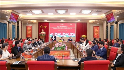 ڈیجیٹل دور میں سماجی علوم اور انسانیت کے کردار اور مقام کی تشکیل۔