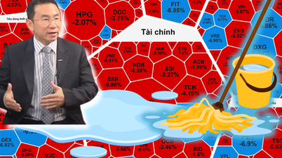 Especialistas explicam por que as ações vietnamitas caíram 52 pontos em 12 de dezembro.