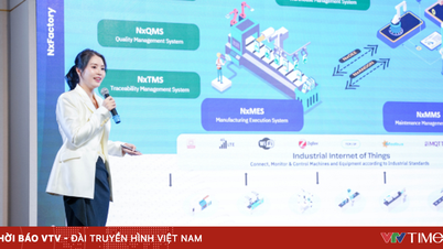 Az NTQ megalapítja az NTQ gyárat: Intelligens átalakulás előmozdítása a vietnami feldolgozóiparban.