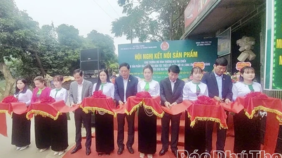 Zavedení obousměrného obchodního modelu pro spotřebu produktů z etnických menšin a horských oblastí.