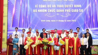 ມະຫາວິທະຍາໄລຈ່າວິງຈະແຕ່ງຕັ້ງຮອງສາດສະດາຈານ 5 ຄົນໃນປີ 2025