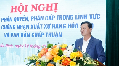 Umsetzung der Dezentralisierung und Delegation von Befugnissen bei der Ausstellung von Ursprungszeugnissen und Genehmigungsdokumenten.