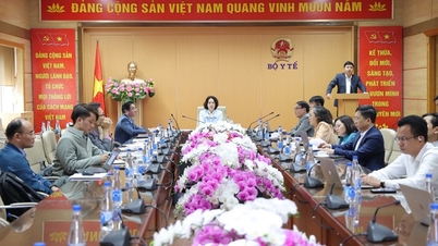 पोलियो वायरस के देश में प्रवेश करने के खतरे को देखते हुए वियतनाम किस तरह से प्रतिक्रिया दे रहा है?