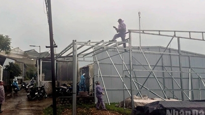 ลำดง: ดำเนินการบังคับใช้กฎหมายเพื่อรื้อถอนอาคารที่ก่อสร้างผิดกฎหมายจำนวนมาก...