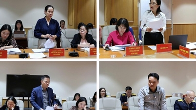 Запит на міжвідомчі пропозиції щодо завершення розробки правил управління податками для домашніх підприємств.