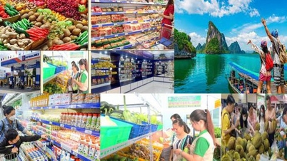 Prim-ministrul a cerut măsuri prompte pentru atenuarea consecințelor dezastrelor naturale, restabilirea producției și a activităților comerciale, stimularea consumului și satisfacerea nevoilor oamenilor cu ocazia sărbătorii Tet.