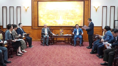 नगर जन समिति के अध्यक्ष गुयेन खाक तोआन ने शिष्टाचार भेंट के दौरान पैसिफिक कंस्ट्रक्शन ग्रुप का स्वागत किया।