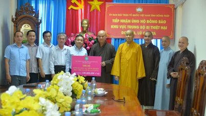 Dong Thap: Stops accepting donations and support for people in Central and Central Highlands regions affected by floods and heavy rains.