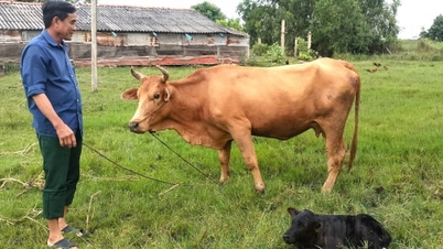 Etkin iletişim, Thanh Hai'de yoksulluğun hızlı ve sürdürülebilir bir şekilde azaltılmasına yol açar.