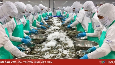 Рекорд досяжний, але рибна галузь стикається з новим тиском.