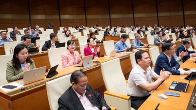 Η Εθνοσυνέλευση ενέκρινε ψήφισμα σχετικά με μια σειρά ειδικών και εξαιρετικών μηχανισμών και πολιτικών για την επίτευξη σημαντικών οφελών στην ανάπτυξη της εκπαίδευσης και της κατάρτισης.