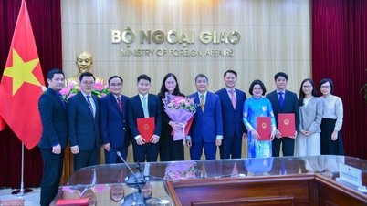 외교부는 임명 결정을 내리고 관리직급의 수습 리더십을 인정합니다.