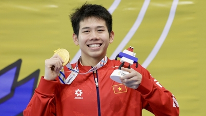 Anh Vien, küçük kardeşinin Güneydoğu Asya Oyunları rekorunu kırması üzerine duygusal anlar yaşadı.