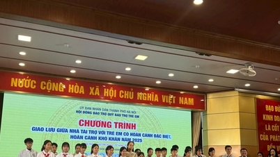 हनोई सेंटर फॉर सोशल वर्क एंड चिल्ड्रन्स प्रोटेक्शन फंड: नवाचार को गति देना और संबंधों का विस्तार करना।