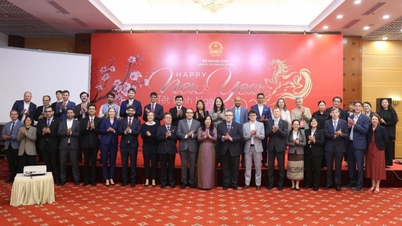 دیدار وزارت امور خارجه با مطبوعات خارجی: گسترش تصویر ویتنامی پویا، یکپارچه و در حال توسعه.