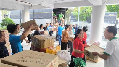 Nhật Bản, Brazil hỗ trợ Việt Nam khắc phục hậu quả bão lũ