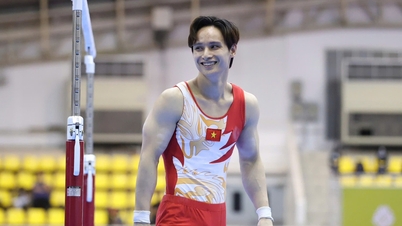 딘 푸옹 탄은 여전히 ​​제34회 동남아시아 경기대회에 출전하여 15번째 금메달 획득을 목표로 하고 있습니다!