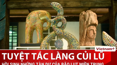 משרידי סערה ליצירת מופת אמנותית: כפר היער המוצף בלב הוי אן.