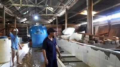 เมืองหลวงแห่งน้ำปลา กำลังเร่งฟื้นตัวหลังจากเกิดอุทกภัย