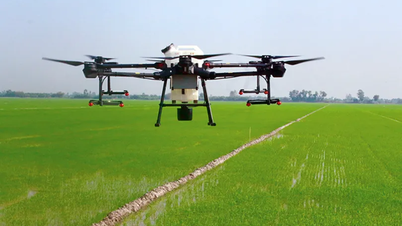 Meningkatkan efisiensi budidaya padi melalui proses MRV.